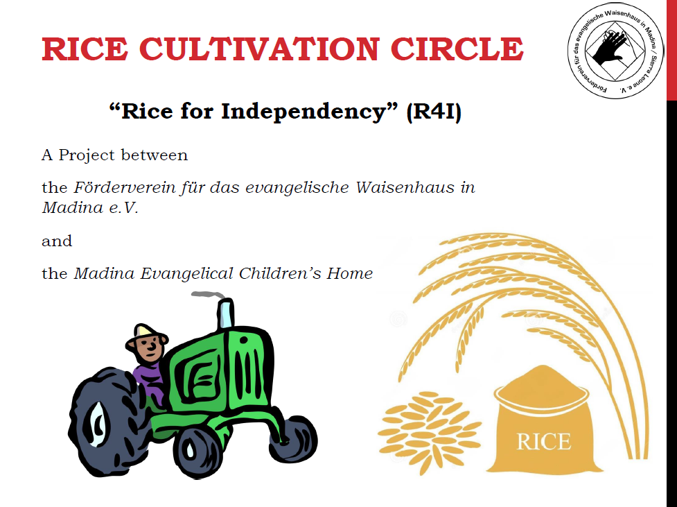 Rice for Indenpendency